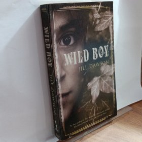 Wild Boy