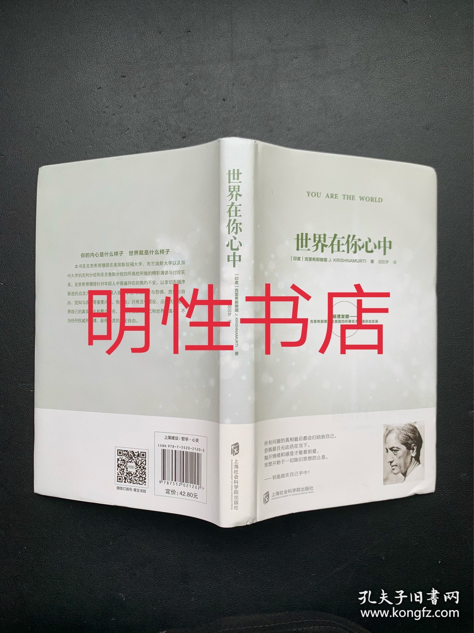 世界在你心中（精装本）