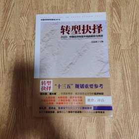 转型抉择2020 中国经济转型升级的趋势与挑战