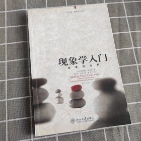 现象学入门：反思性分析