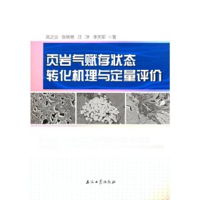 页岩气赋存状态转化机理与定量评价