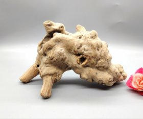 根雕作品，形状自然独特，表面疙瘩众多，颇具韵味。适合做特色摆件。长16.5厘米，宽7厘米，高13厘米。满58包邮偏远地区邮费自付。