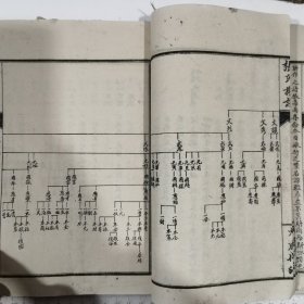 张氏族谱 重修湖广入四川重庆府壁山县。从大宋起始。（1厚册完）家谱