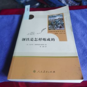 统编语文教材配套阅读 八年级下：钢铁是怎样炼成的/名著阅读课程化丛书