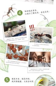 全新正版 看蚂蚁(精)/家门外的自然课系列 孙煜尧 9787533199456 山东科学技术出版社