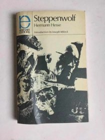 《荒原狼》 Steppenwolf