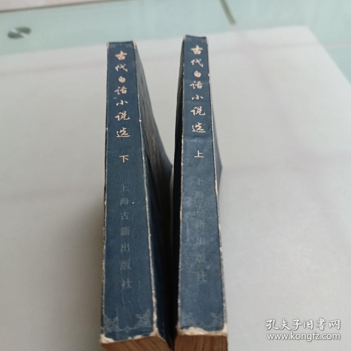 古代白话小说选（上下册）