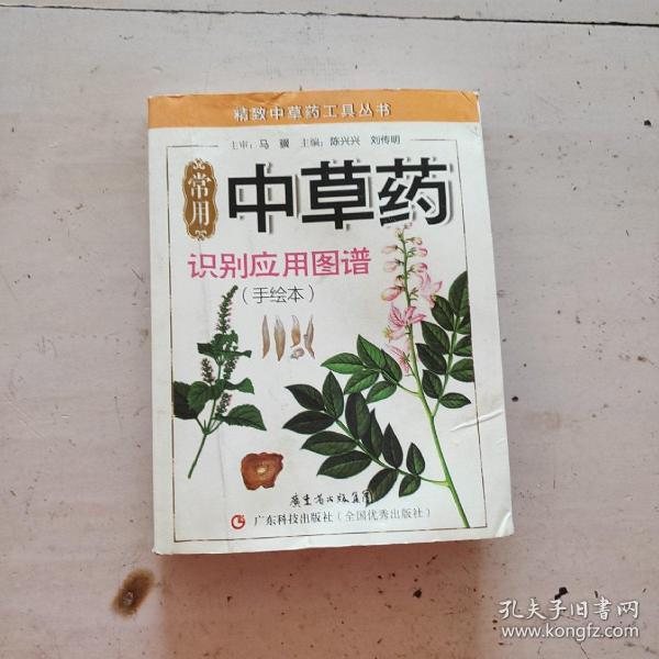 精致中草药工具丛书：常用中草药识别应用图谱（手绘本）