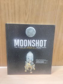 Moonshot:TheFlightofApollo11