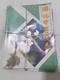 湖北中医杂志 2000年（1-12期）