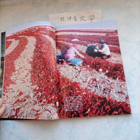 中国国家地理2010.11期（秋醉中国珍藏版：秋色专辑)