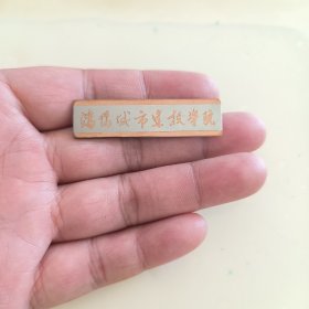 沈阳城市建设学院校徽徽章