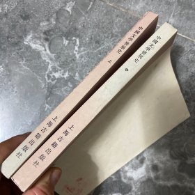 中国文学发展史 上中册2本刘大杰著 上海古籍出版社