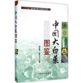 【正版书籍】中国大白菜图鉴“十二五”国家重点图书)