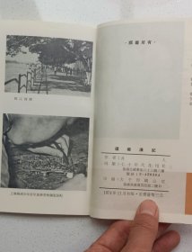 繁体竖版:戈壁叢書《还乡漫記》及人著，1974年七十年代月刊社初版本！窄32开！！！