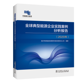 全球典型能源企业实践案例分析报告(2020年)