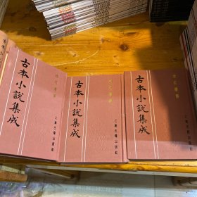 古本小说集成：補红楼梦（上中下）