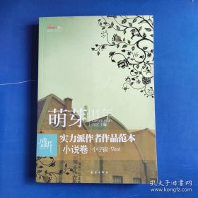 盛开萌芽11年实力派作者作品范本小说卷：小宇宙