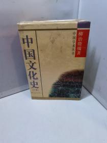 中国文化史(上下卷)