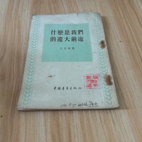 什么是我们的远大前途