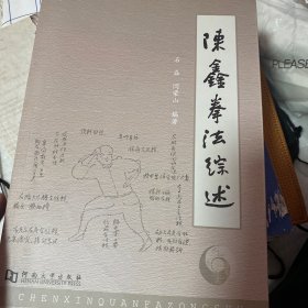 陈鑫拳法综述