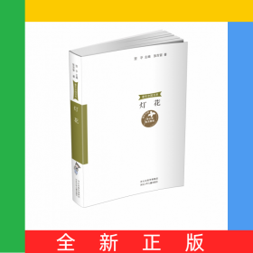 童年中国书系3灯花