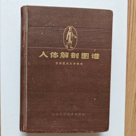 人体解剖图谱