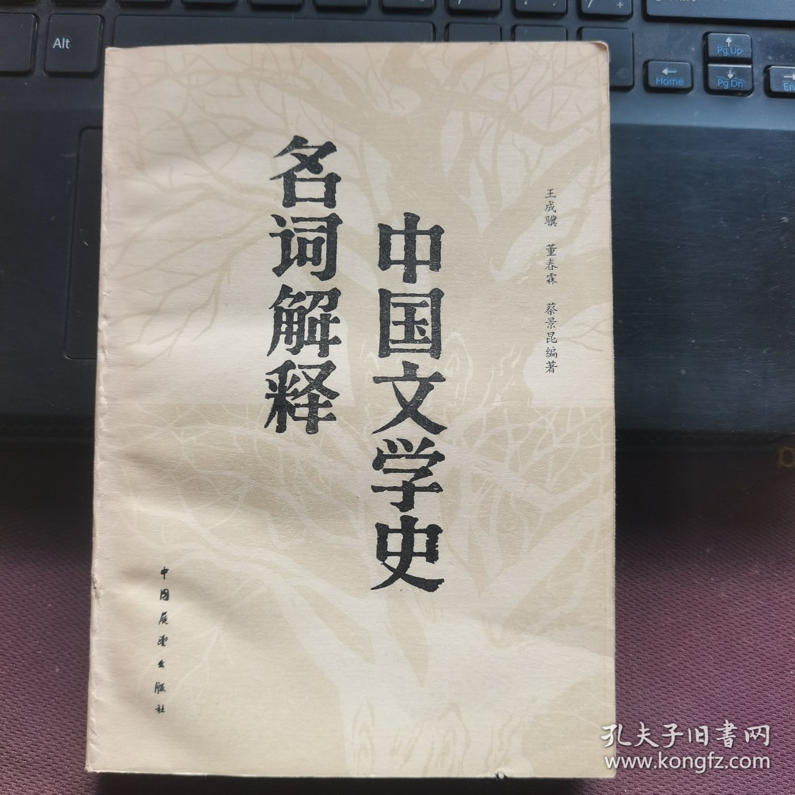 中国文学史名词解释