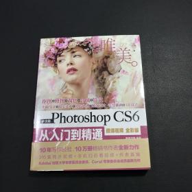 中文版Photoshop CS6从入门到精通（微课视频 全彩版）