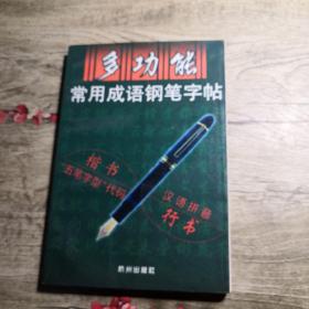 多功能常用成语钢笔字帖