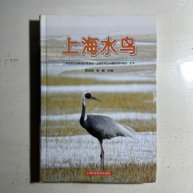 上海水鸟