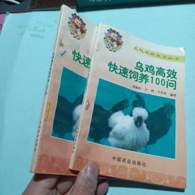 乌鸡高效快速饲养100问