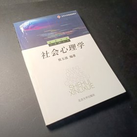 社会心理学——北京大学心理学丛书