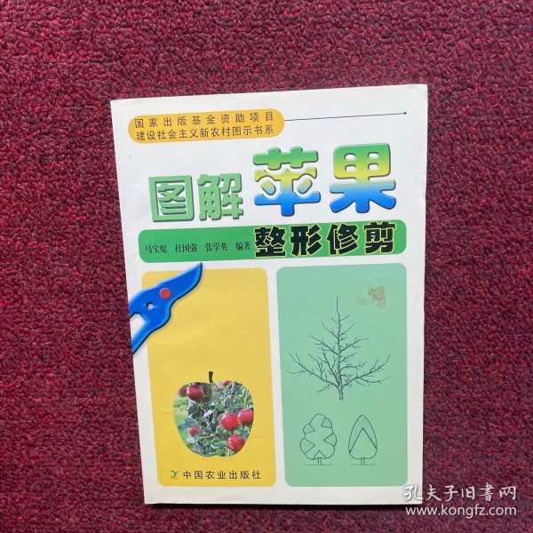 图解苹果整形修剪