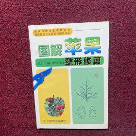 图解苹果整形修剪
