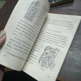 十万个为什么（续）