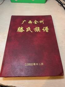 广西全州滕氏族谱（16开精装）