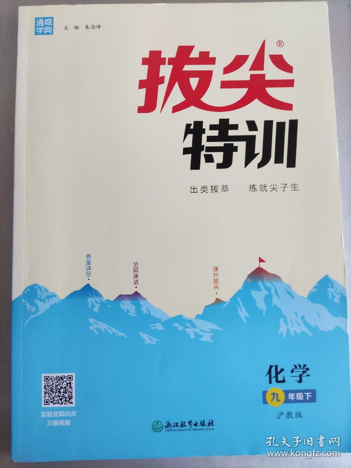 拔尖特训 九年级下册化学