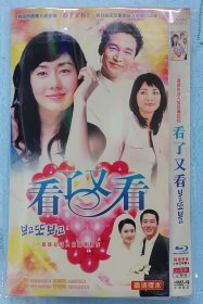 经典韩剧电视剧：看了又看（DVD8碟装）