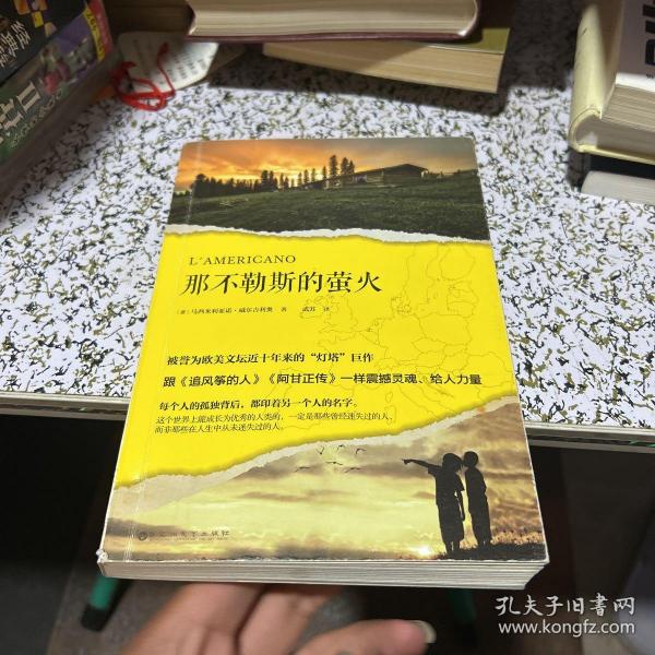 那不勒斯的萤火（被誉为欧美文坛近十年来的“灯塔”巨作，跟《追风筝的人》《阿甘正传》一样震撼灵魂、给人力量。）