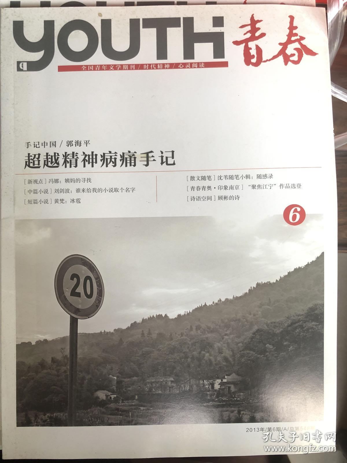 全国青年文学期刊《青春》2013年第6期