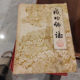 成功乡志