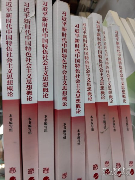 习近平新时代中国特色社会主义思想概论