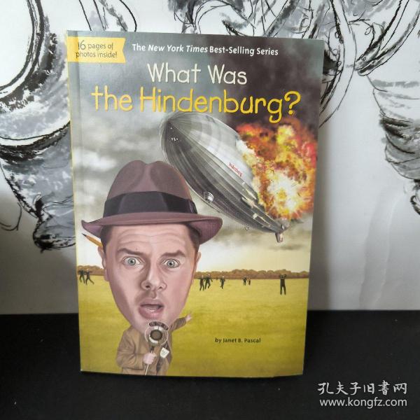 What Was the Hindenburg? 英文原版