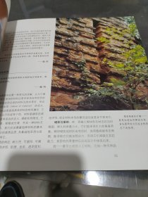 生长的建筑：赖特与塔里埃森建筑师事务所