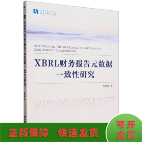 XBRL财务报告元数据一致性研究
