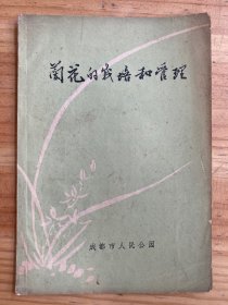兰花的栽培和管理