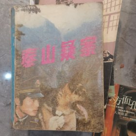 泰山疑案