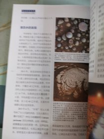少年时新知大讲堂.前沿科学 探秘太阳系