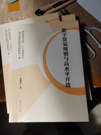 数字贸易规则与高水平开放